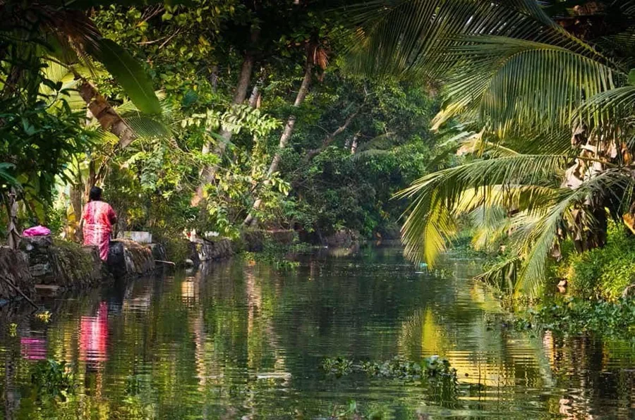A small boat on the open backwater with palms along the far bank