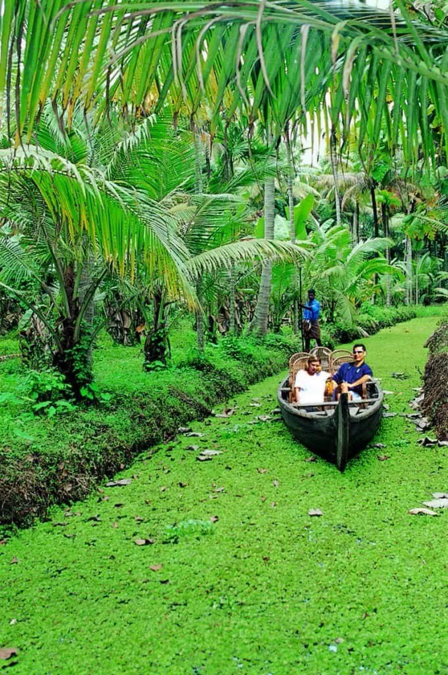 A country canoe being paddled along a narrow green canal beside the garden