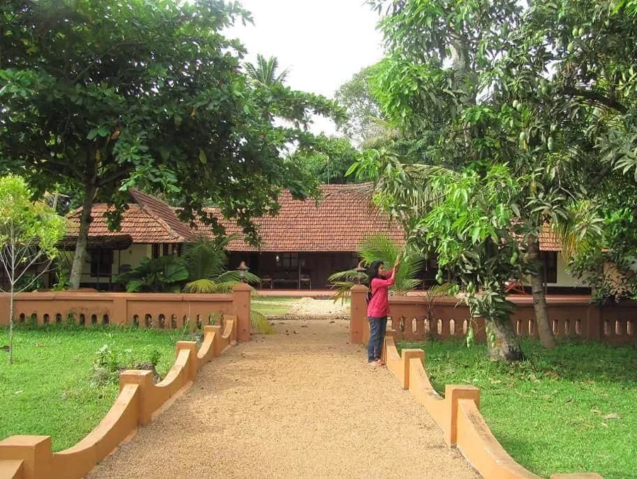 The garden path and low red boundary wall at the entrance to the property